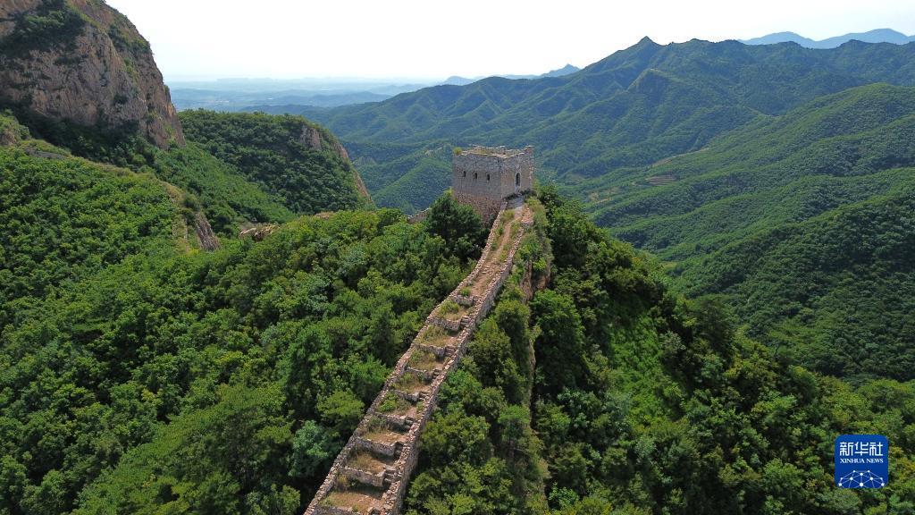果博注册